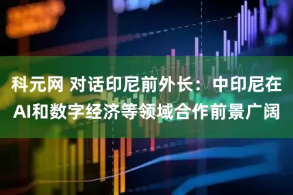 科元网 对话印尼前外长：中印尼在AI和数字经济等领域合作前景广阔